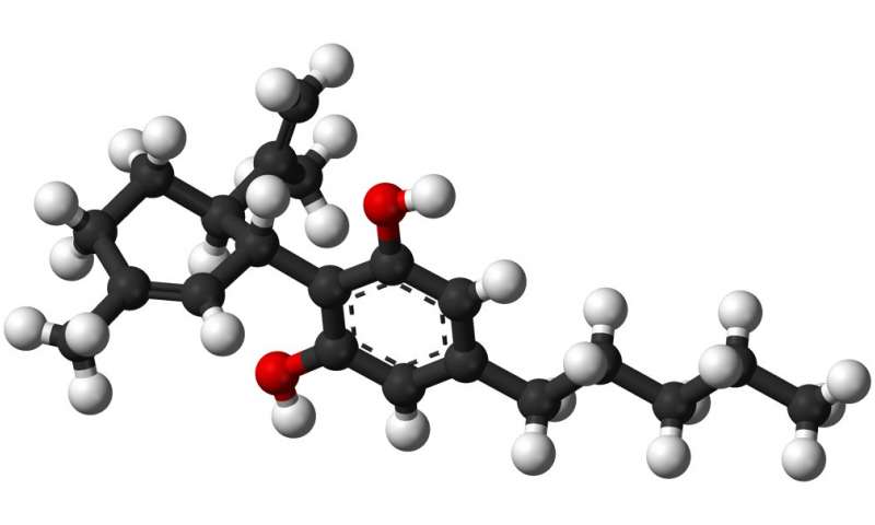 Cannabidiol reduces aggressiveness, study concludes